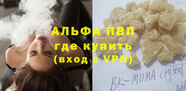 шишки Усолье-Сибирское