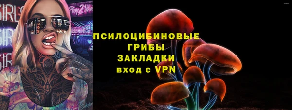 шишки Усолье-Сибирское