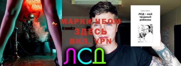 шишки Усолье-Сибирское
