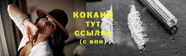 шишки Усолье-Сибирское