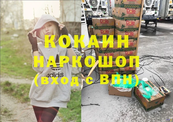 шишки Усолье-Сибирское