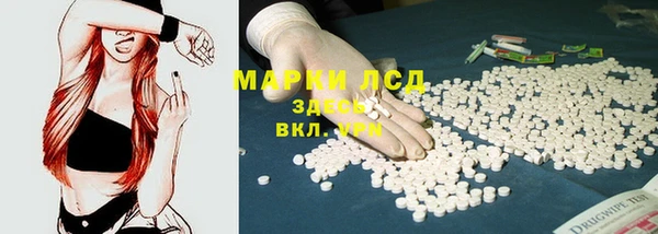 шишки Усолье-Сибирское